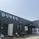 태안 횟집 선창횟집 쯔양 태안 실치회, 갑오징어물회 맛집 솔직 후기