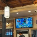 날마다 대박나는집 반송점 이미지