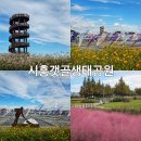 갯골생태공원(인포센터) | 경기도 가볼만한곳 시흥 갯골생태공원 서울근교 꽃구경 핑크뮬리 억새