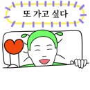 그린달빛 이미지