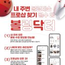 볼리즘(Bowlizm) 이미지