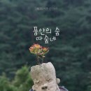 도깨비마을 이미지