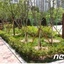 인천부현동초 이미지