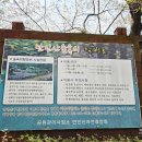 만인산 유아숲체험원 이미지