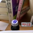 늘 에스테틱 이미지