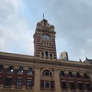 그레이트작은도서관 | 멜버른 무료트램존 숙소 추천 브래디호텔하드웨어레인 후기