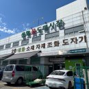 [양재] 서울 양재꽃시장 양재화훼단지 꽃 구매 후기 추천 주차 정보