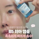다이소 히알루론산 앰플 사용 후기 ✨️제이엠솔루션 B5 ✨️ 집중 수분 보습