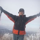 국광(주) Daum카페