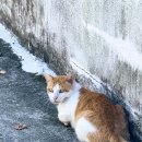 만덕백양체육공원 옆 | 🏞 서구 해돋이~천마산로~자갈치