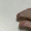 자담치킨 내손점 | 214