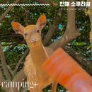 소쿠리 이미지