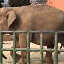 전주동물원 이미지