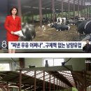 남양마트 이미지
