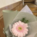 송화주식회사 | 픽사 문도 전시 관람 후기