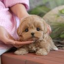 연제구-045 이미지