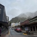 주노 | 알래스카 크루즈 여행 Day 1-4 후기, 주노 Juneau, 스카그웨이 Skagway