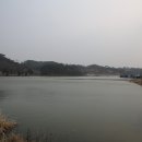 당나루물꽃마을 이미지