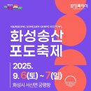 송산포도로 이미지