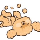 하리애견 이미지