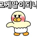 스테이목아 이미지