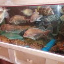 잇텐스시 이미지