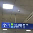 춘천 당일치기 먹짱 여행💥