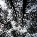 고향펜션캠핑 이미지