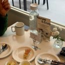 17 | 대전 | 지족동 생면 파스타 맛집 로치아 솔직 후기