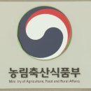 정앤장