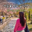 매화록 | 서울숲 벚꽃 데이트 서울숲 사슴 주차장 위치 피크닉 평일 방문 실시간