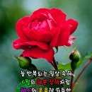 이지싸인 이미지