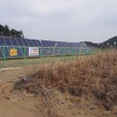 신월태양광발전소 이미지