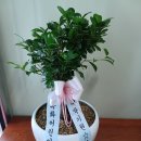 담꾹 학장점 이미지