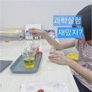 나미국어논술문어랑독서 | 독서력과 논리력을 함께 키우는 군포논술학원, 브레인거북이 당정동 초등 국어 프로그램의 장점 총정리
