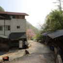 단양펜션구구산장 | 단양팔경펜션 단양구구산장 힐링 숙소 여유롭게 머문곳