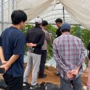 고창축산 이미지