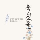 김진스냅앤스튜디오 이미지