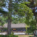 [수원등산] 짧고굵게 운동되는 칠보산 최단코스 (용화사 주차🅿️, 소요시간⌚, 솔직 후기)
