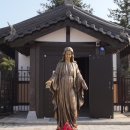 완주 쿠키뉴스