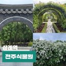 만월쉼터 | 전주수목원 근처 카페 배롱나무 데이트 여행코스