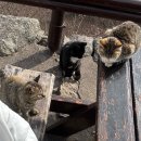 먹을래싸갈래 | 1월