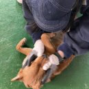 (주)위드어스인 네이버블로그