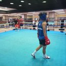 엘리트복싱체육관 | 🥊 동탄복싱 정통 방식으로 배우는 골든보이 복싱짐 후기