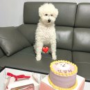 오간식 영등포점 이미지