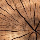 삼길포펜션 이미지