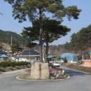 주천면 행정마을 이미지