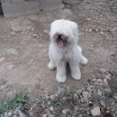 진도농장 이미지