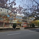 광장경로당 | [부돈산] 서울 송파구 문정동 문정래미안 임장후기 (feat. 두레미역)