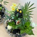 송현샘 지역아동센터 | 울산 부산 포항 경북 시각장애인연합회/성인 노인 원예수업 천연가습기 숯 정원 원예 테라피